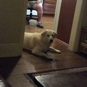 Meet your Posher, Nancy